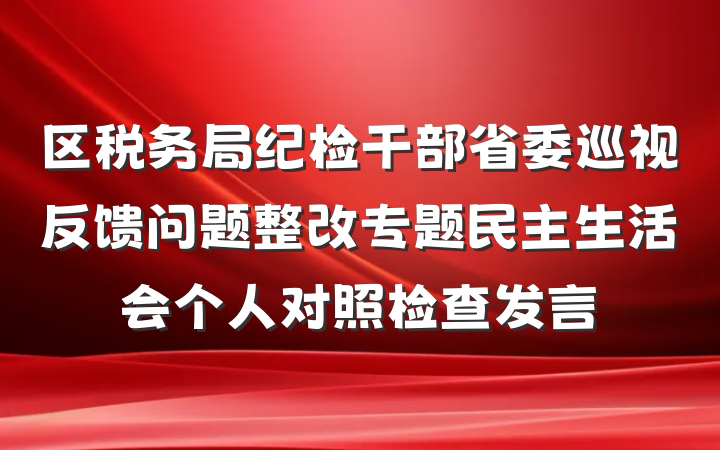 区税务局纪检干部省委巡视反馈问题整改专题民主生活会个人对照检查发言