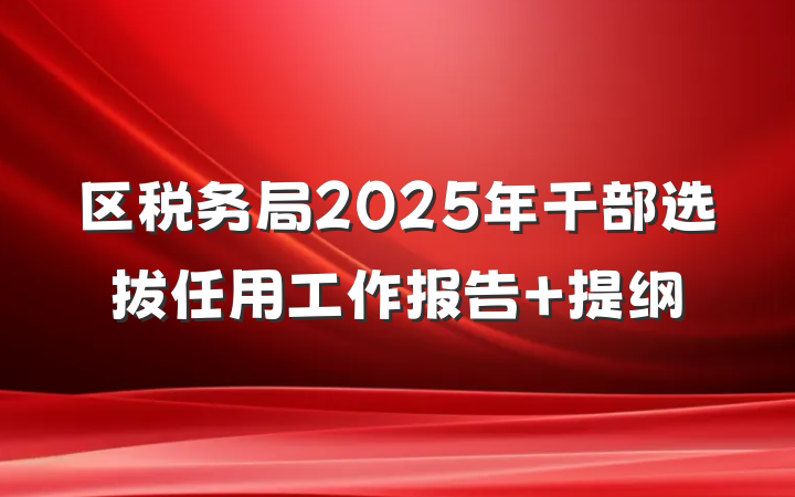 区税务局2025年干部选拔任用工作报告 提纲