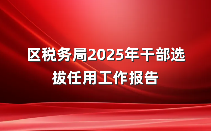 区税务局2025年干部选拔任用工作报告