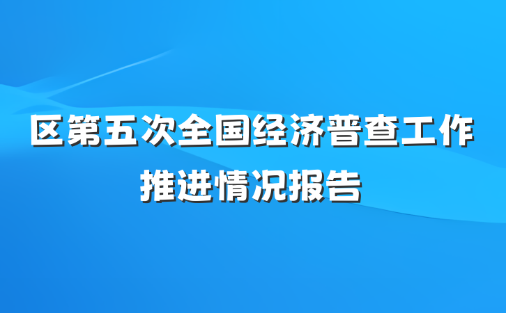 区第五次全国经济普查工作推进情况报告