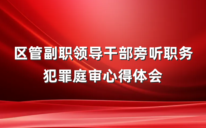 区管副职领导干部旁听职务犯罪庭审心得体会