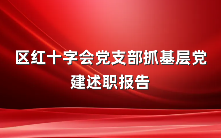 区红十字会党支部抓基层党建述职报告