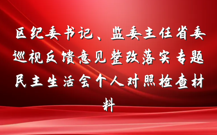 区纪委书记、监委主任省委巡视反馈意见整改落实专题民主生活会个人对照检查材料