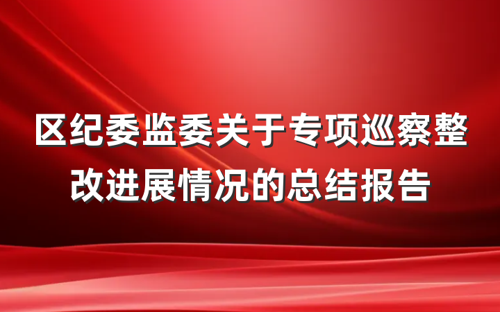 区纪委监委关于专项巡察整改进展情况的总结报告