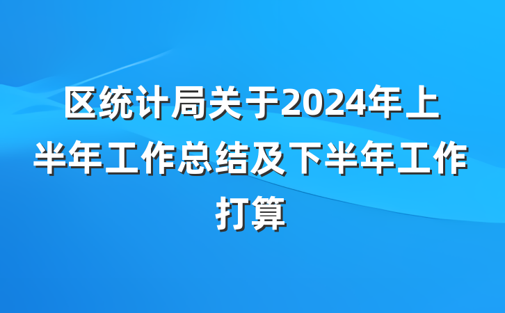 区统计局关于2024年上半年工作总结及下半年工作打算