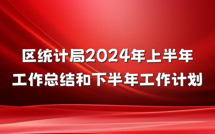 区统计局2024年上半年工作总结和下半年工作计划