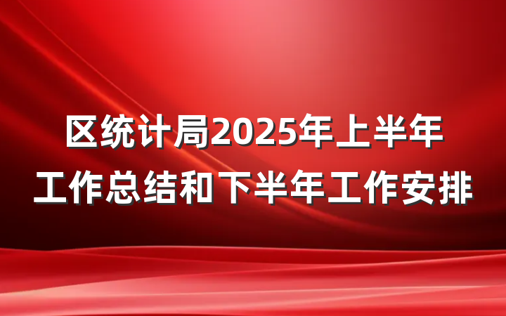 区统计局2025年上半年工作总结和下半年工作安排