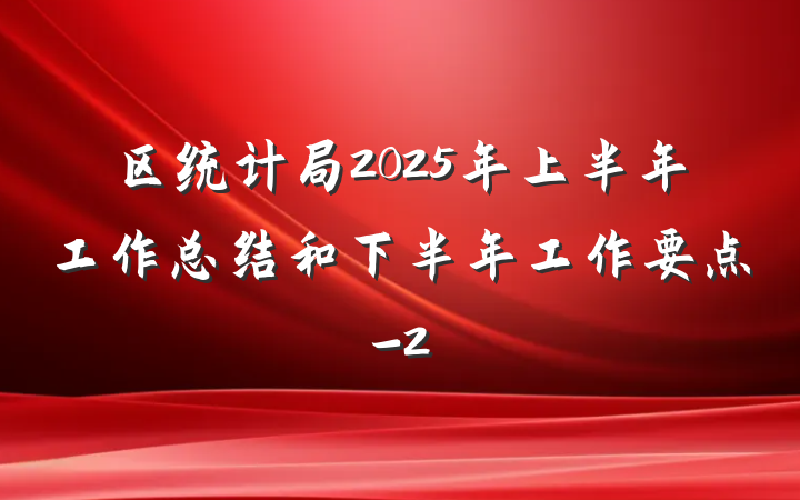 区统计局2025年上半年工作总结和下半年工作要点-2