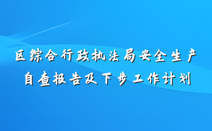 区综合行政执法局安全生产自查报告及下步工作计划