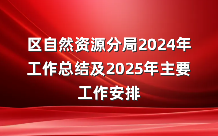 区自然资源分局2024年工作总结及2025年主要工作安排