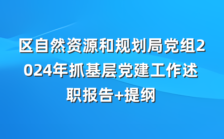 区自然资源和规划局党组2024年抓基层党建工作述职报告 提纲