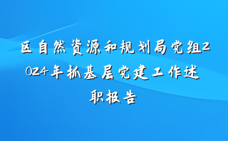 区自然资源和规划局党组2024年抓基层党建工作述职报告