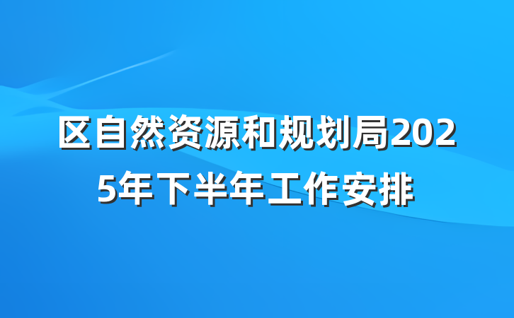 区自然资源和规划局2025年下半年工作安排