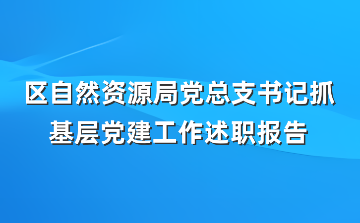 区自然资源局党总支书记抓基层党建工作述职报告