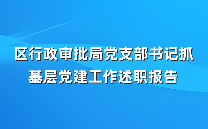 区行政审批局党支部书记抓基层党建工作述职报告