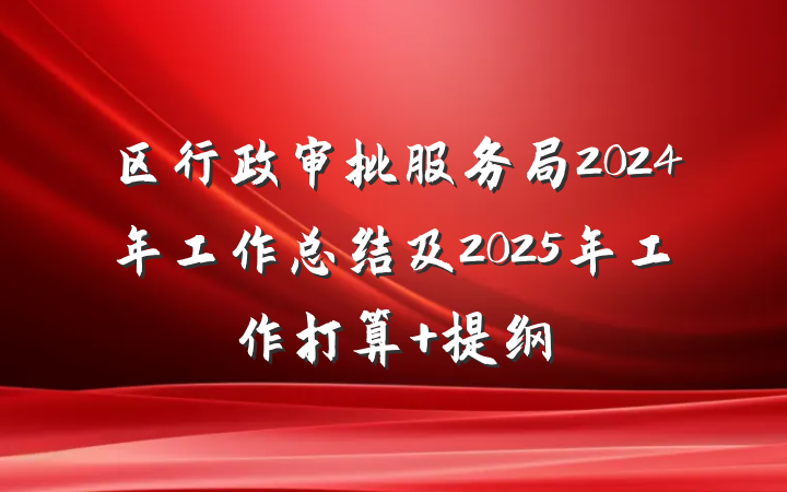 区行政审批服务局2024年工作总结及2025年工作打算 提纲