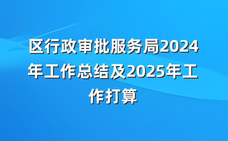 区行政审批服务局2024年工作总结及2025年工作打算