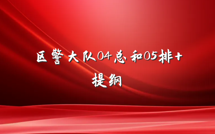区警大队04总和05排 提纲