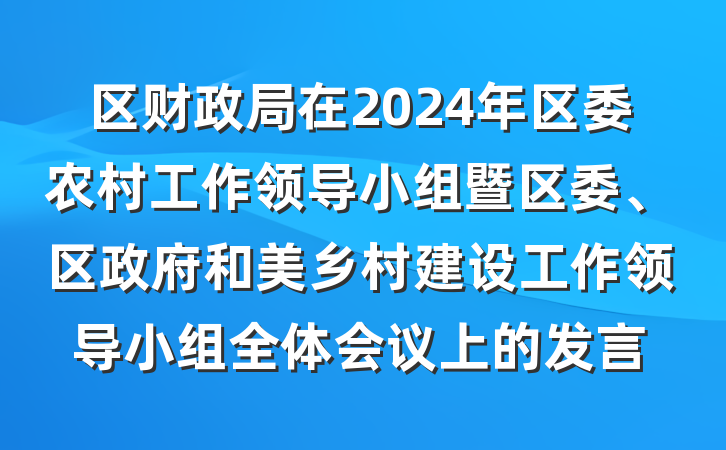 区财政局在2024年区委农村工作领导小组暨区委、区政府和美乡村建设工作领导小组全体会议上的发言