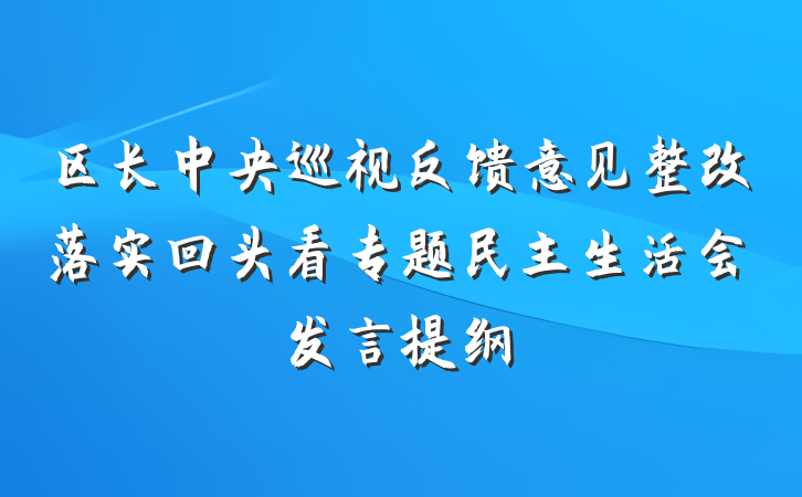区长中央巡视反馈意见整改落实回头看专题民主生活会发言提纲
