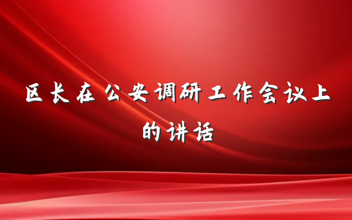 区长在公安调研工作会议上的讲话