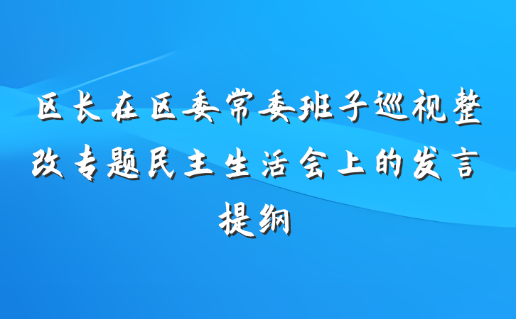 区长在区委常委班子巡视整改专题民主生活会上的发言提纲
