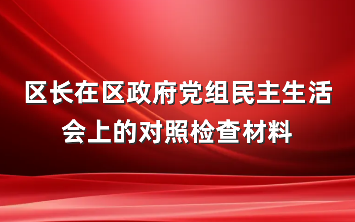 区长在区政府党组民主生活会上的对照检查材料