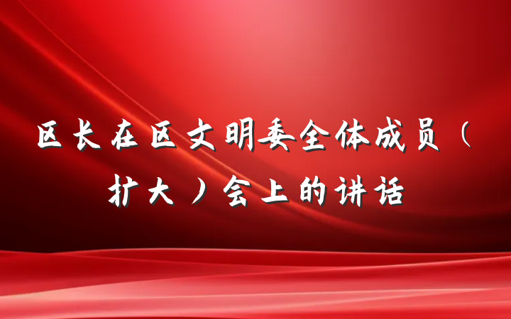 区长在区文明委全体成员（扩大）会上的讲话