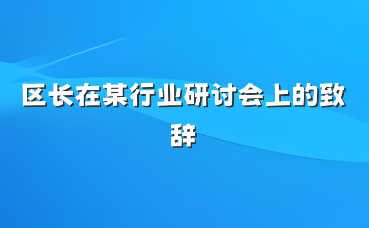 区长在某行业研讨会上的致辞