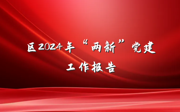 区2024年“两新”党建工作报告