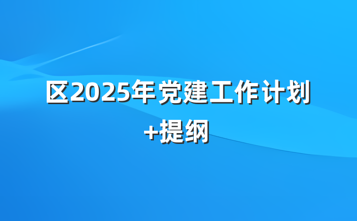 区2025年党建工作计划 提纲