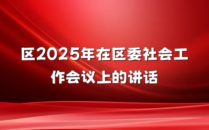 区2025年在区委社会工作会议上的讲话