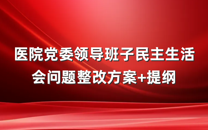 医院党委领导班子民主生活会问题整改方案 提纲