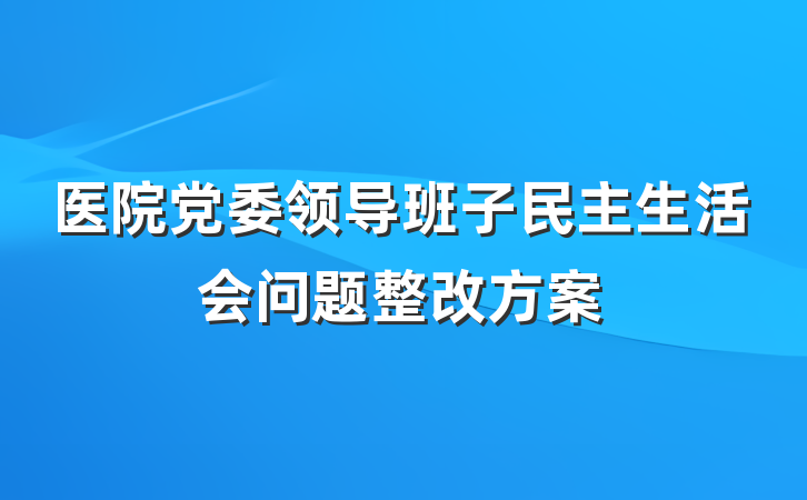 医院党委领导班子民主生活会问题整改方案