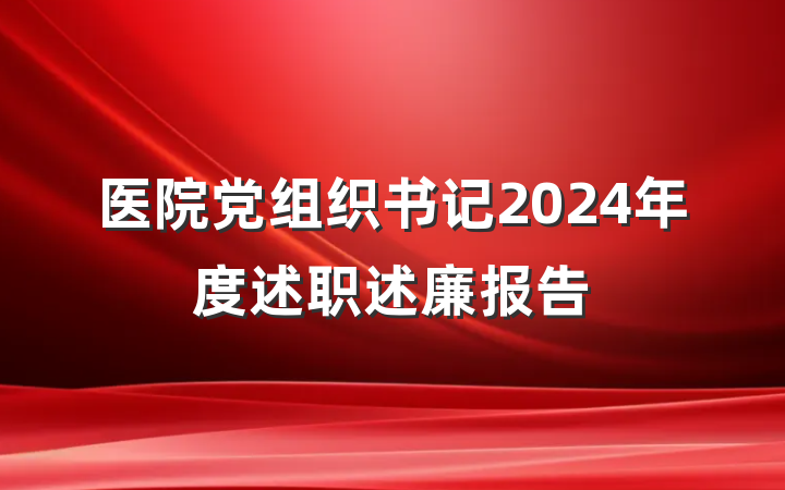 医院党组织书记2024年度述职述廉报告
