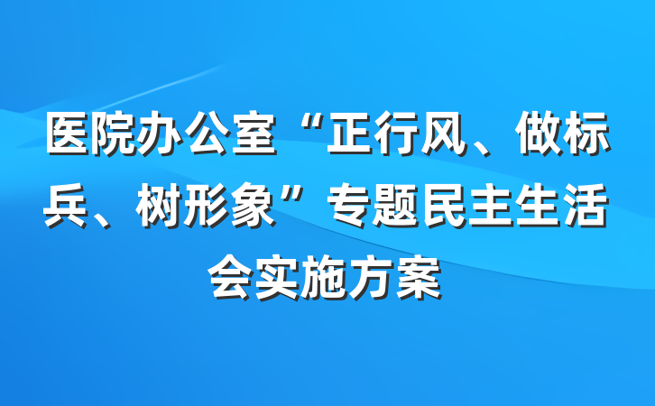 医院办公室“正行风、做标兵、树形象”专题民主生活会实施方案