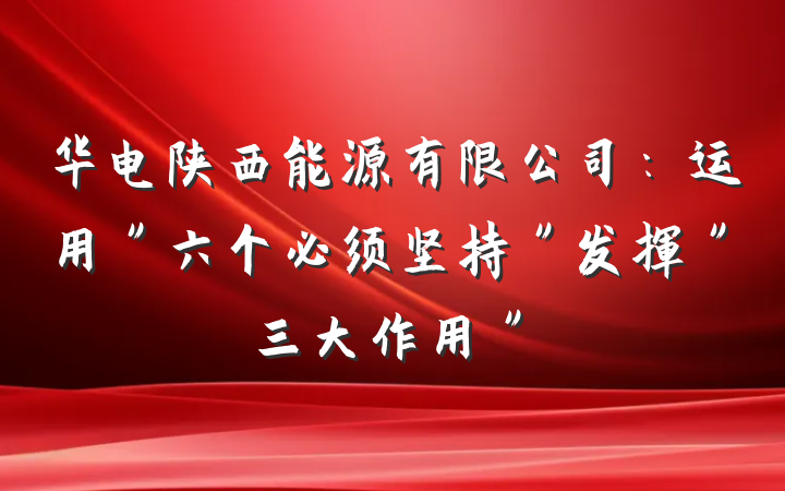 华电陕西能源有限公司：运用＂六个必须坚持＂发挥＂三大作用＂