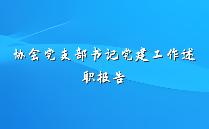 协会党支部书记党建工作述职报告