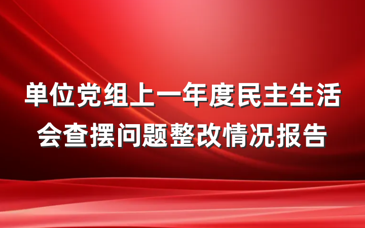 单位党组上一年度民主生活会查摆问题整改情况报告