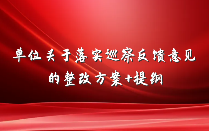 单位关于落实巡察反馈意见的整改方案 提纲