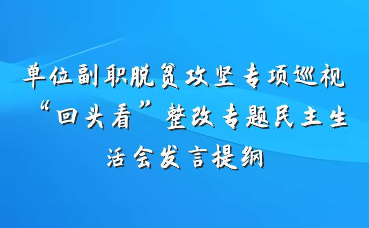 单位副职脱贫攻坚专项巡视“回头看”整改专题民主生活会发言提纲