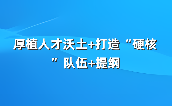 厚植人才沃土 打造“硬核”队伍 提纲