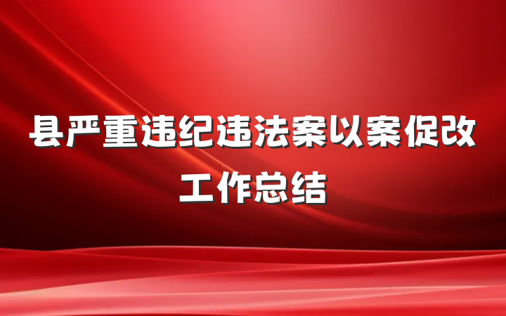 县严重违纪违法案以案促改工作总结