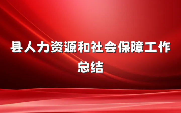 县人力资源和社会保障工作总结
