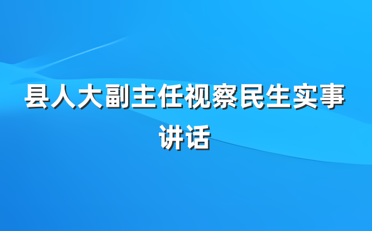 县人大副主任视察民生实事讲话