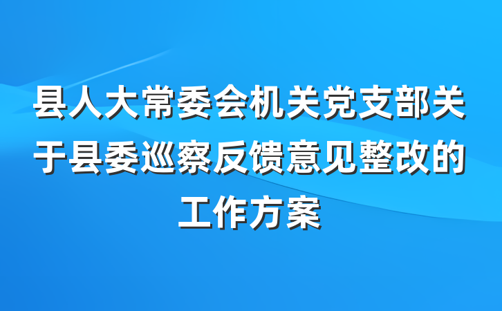 县人大常委会机关党支部关于县委巡察反馈意见整改的工作方案