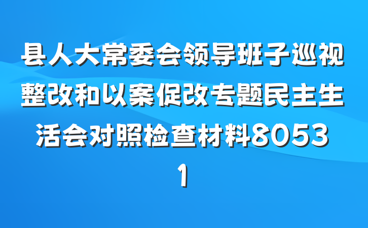 县人大常委会领导班子巡视整改和以案促改专题民主生活会对照检查材料80531