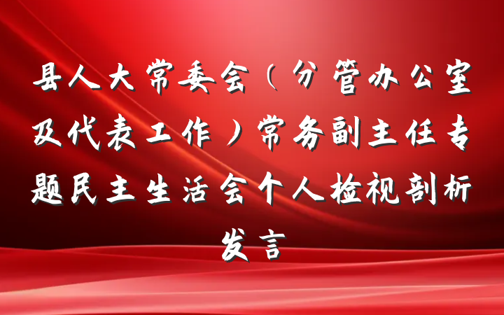 县人大常委会(分管办公室及代表工作)常务副主任专题民主生活会个人检视剖析发言