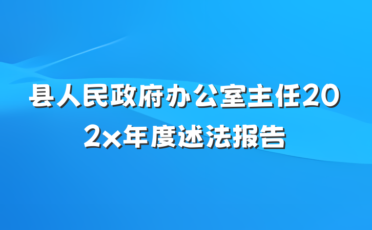 县人民政府办公室主任202x年度述法报告
