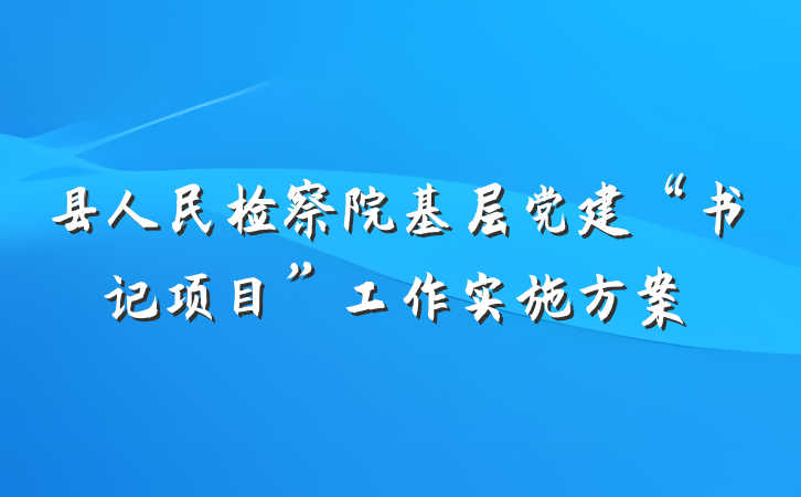 县人民检察院基层党建“书记项目”工作实施方案